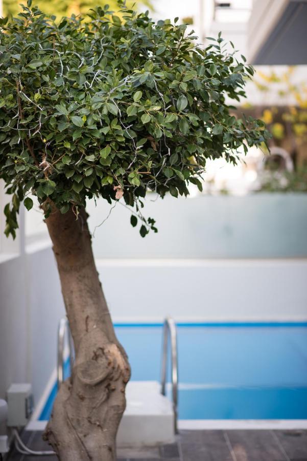 Palmyra Athens Villa Eksteriør billede